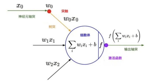 Essential Algorithms in Machine Learning