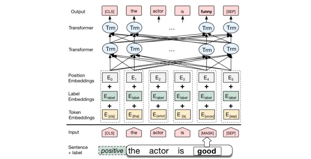 Understanding Transformer Algorithms in Neural Networks