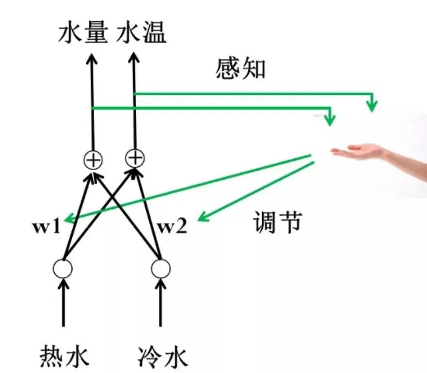 Understanding Neural Network Training: A Comprehensive Guide