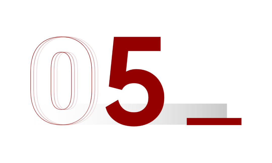 10 Insights on Large Models by Academician Shen Xiangyang