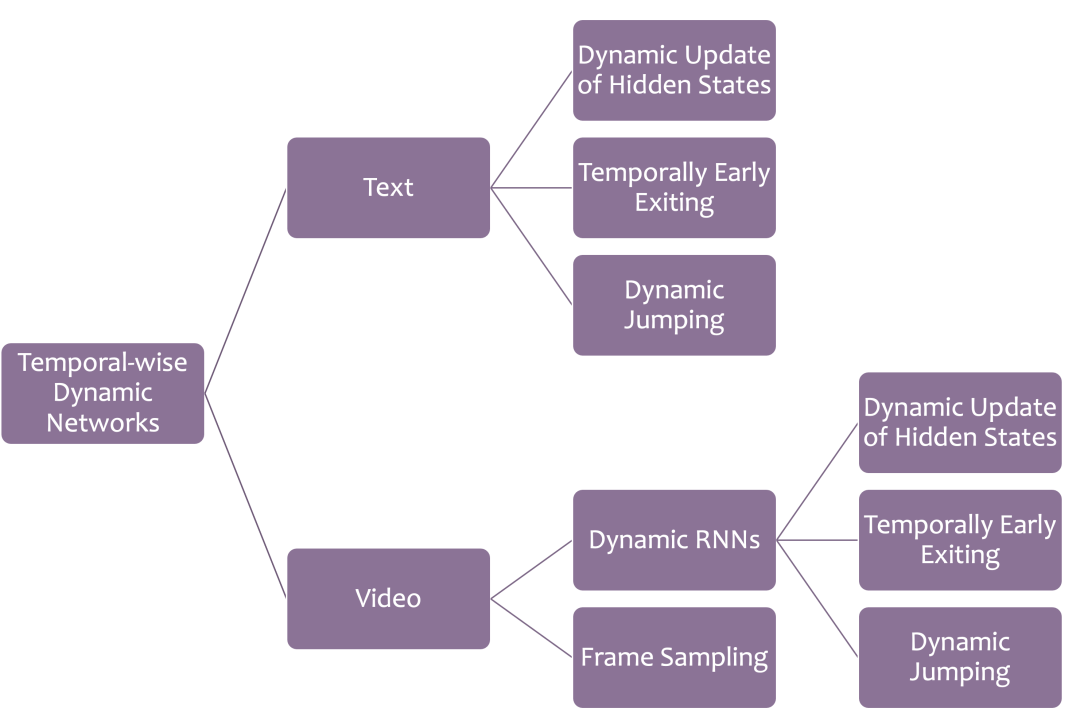 Dynamic Neural Networks: Key Challenges and Solutions