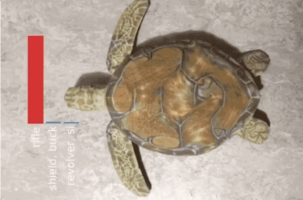 AI Image Recognition Meets Adversarial Images