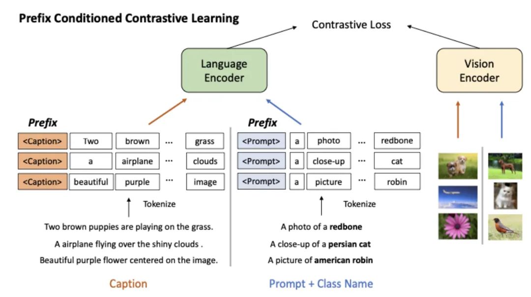 How to Use Multi-Type Data to Pre-Train Multimodal Models?