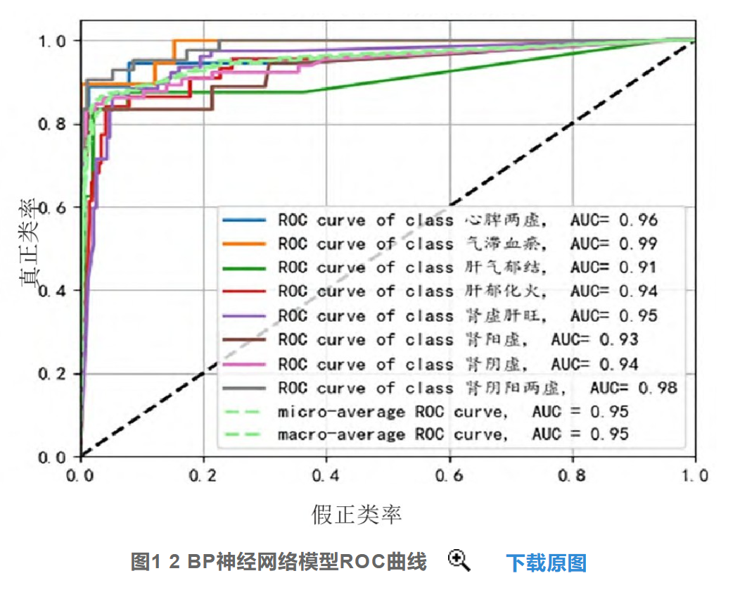 BP Neural Network: An Iterative Network That Continuously Improves