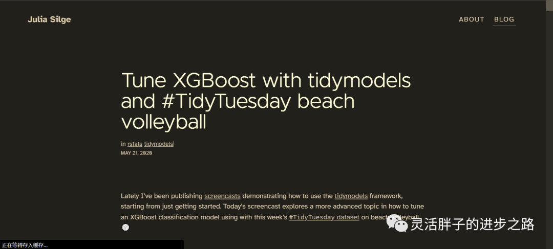 Building XGBoost Classification Model with Tidymodels