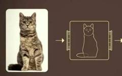 Image Classification Techniques: KNN, SVM, BP Neural Networks, CNN, and Transfer Learning