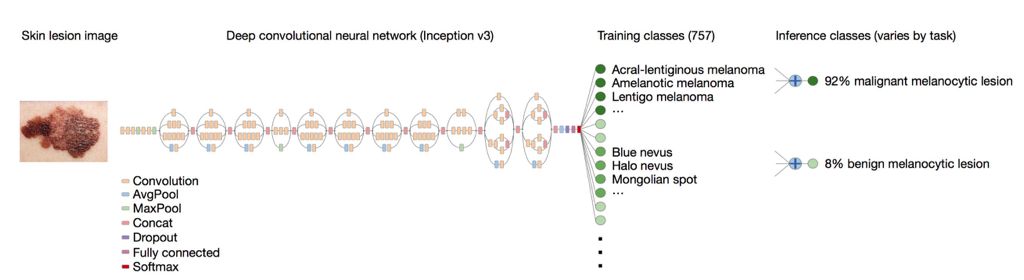 Illustrating the Architecture of Deep Neural Networks