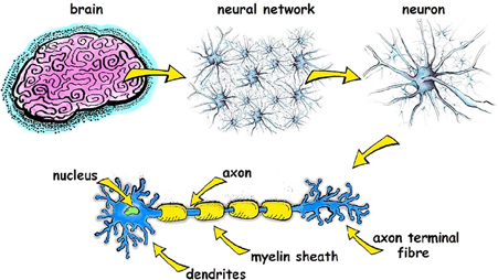 What Is An Artificial Neural Network?