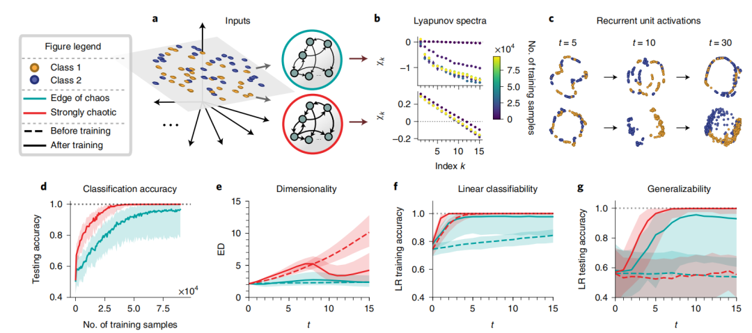 RNN Learns Suitable Hidden Dimensions with White Noise