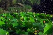Trends and Techniques of Deep Learning in Image Processing
