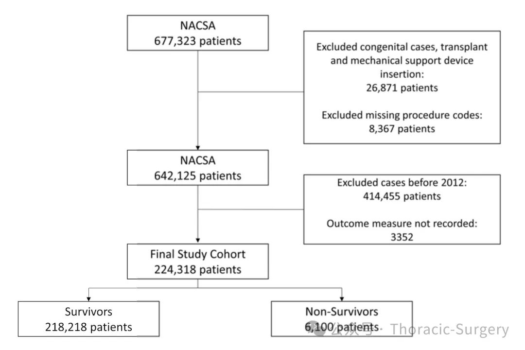 Risk Prediction Score for 30-Day Mortality After Adult Cardiac Surgery Based on Machine Learning Algorithms