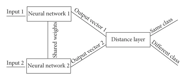 Comprehensive Guide to Siamese Neural Networks in Machine Learning