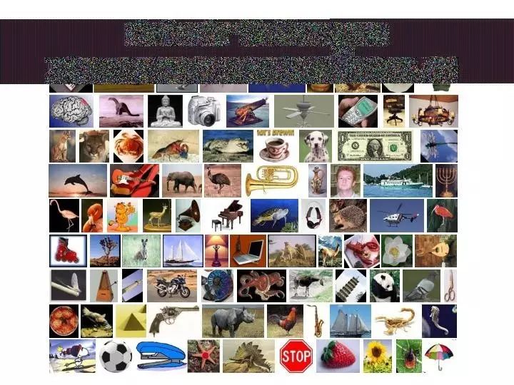 Image Recognition and Machine Learning Insights