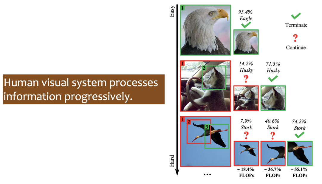 Dynamic Neural Networks: Key Challenges and Solutions