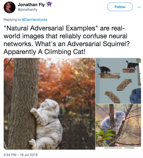 AI Image Recognition Meets Adversarial Images