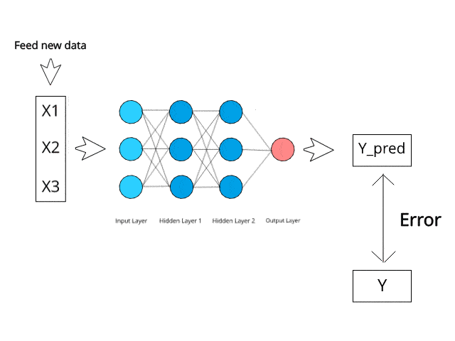 Understanding How Neural Networks Work