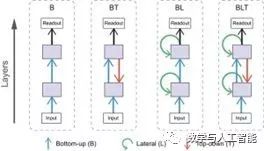 15 Questions About Convolutional Neural Networks and Biological Visual Systems