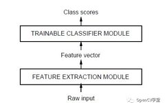 Understanding Convolutional Neural Networks (CNN)