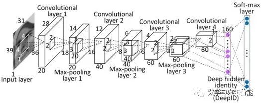 15 Questions About Convolutional Neural Networks and Biological Visual Systems