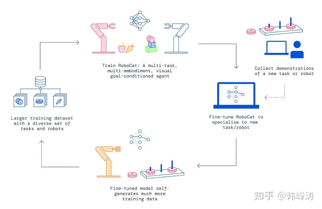What Kind of Robotic Large Models Do We Need?