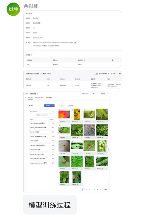 Insect Recognition System Based on CNN