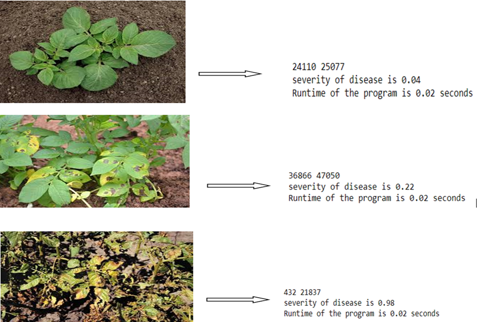 Crop Disease Detection Using Image Processing and CNN