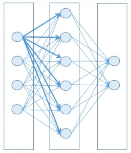 Master Neural Networks in One Article