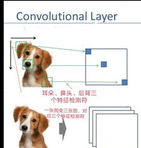 Comprehensive Introduction to Convolutional Neural Networks