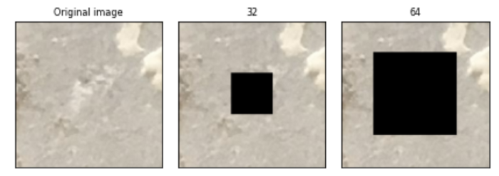 Comprehensive Guide to Image Augmentation Using Pytorch