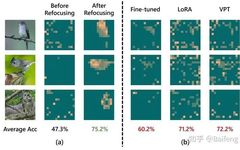 The Importance of Refocusing Attention in Fine-Tuning Large Models