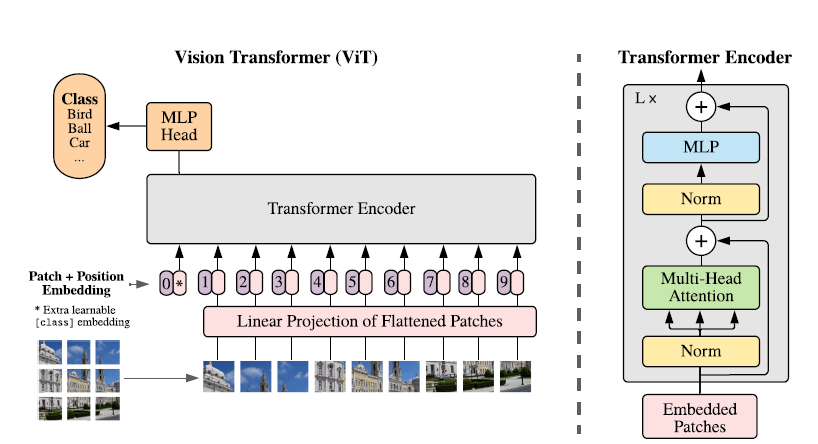 Understanding Transformer Principles and Their Applications in CV