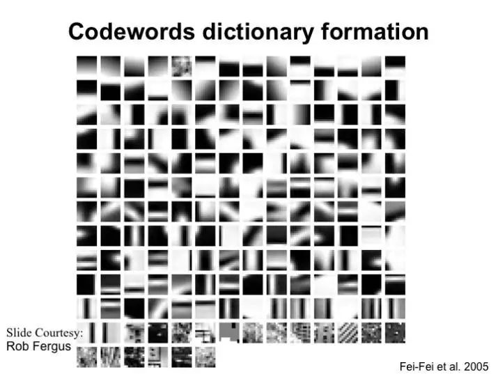 Image Recognition and Machine Learning Insights