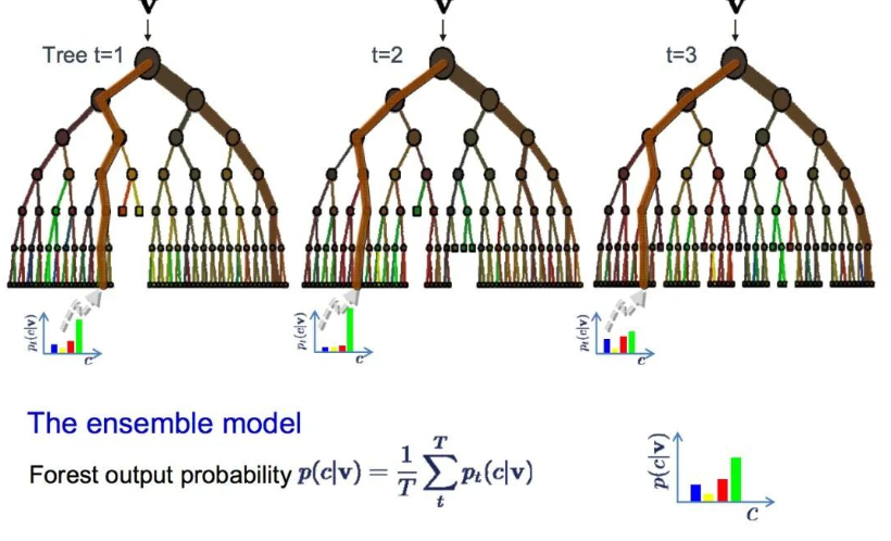 Top 10 Most Common Machine Learning Algorithms Explained