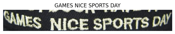 Fine-Tuning TrOCR for Curved and Blurry Text Recognition