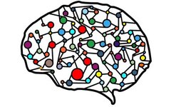 Understanding Neural Networks: A Comprehensive Guide