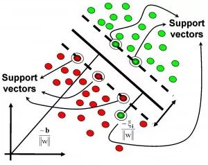 17 Common Algorithms in Machine Learning