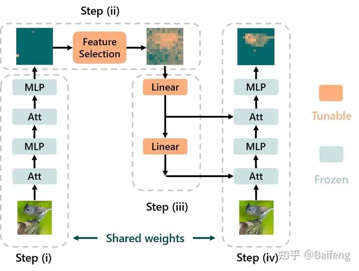 The Importance of Refocusing Attention in Fine-Tuning Large Models