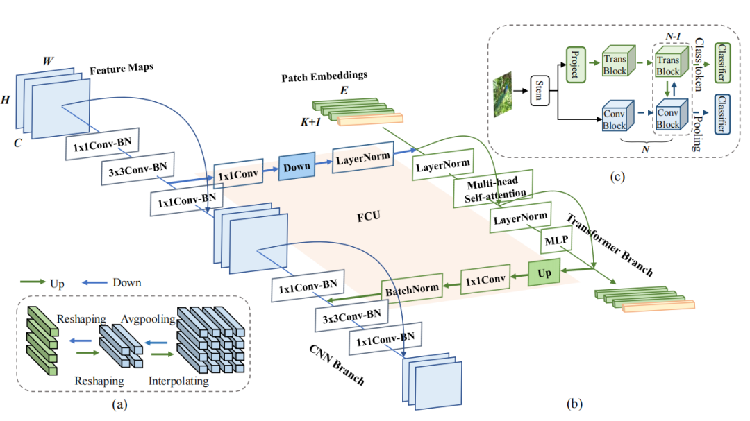 Conformer: A Hybrid CNN-Transformer Model for Improved Feature Representation