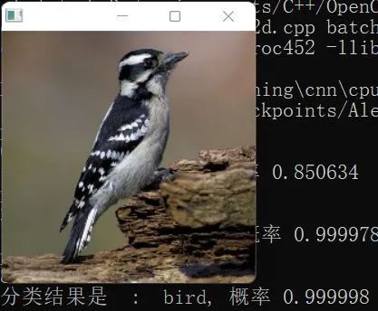 Implementing Convolutional Neural Networks in C++ from Scratch