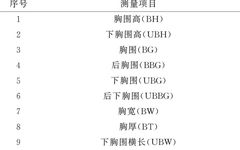 Construction of Youth Female Chest Recognition Model Based on LSTM Neural Network