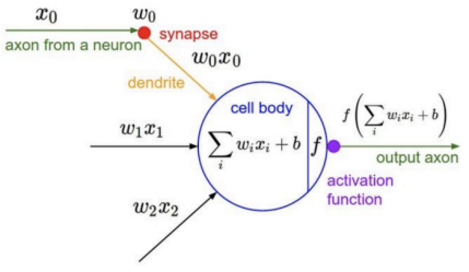 Understanding Neural Networks: A Comprehensive Guide