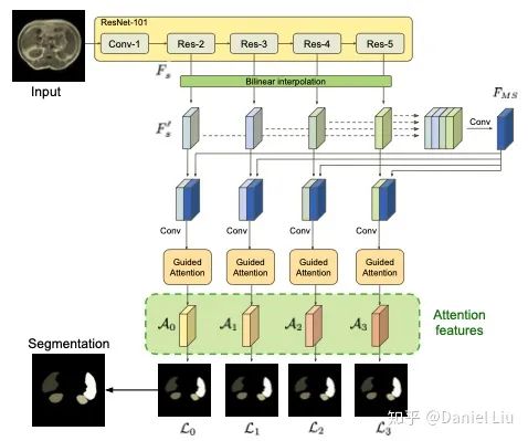 Interpretation of Attention Mechanisms in Medical Imaging