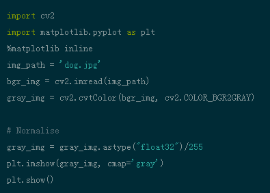 Understanding Convolutional Networks with PyTorch