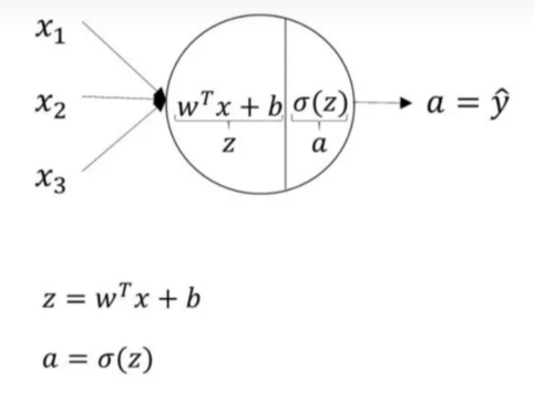 Essential Algorithms in Machine Learning