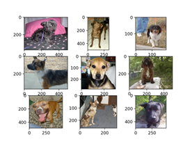 Comprehensive Introduction to Convolutional Neural Networks