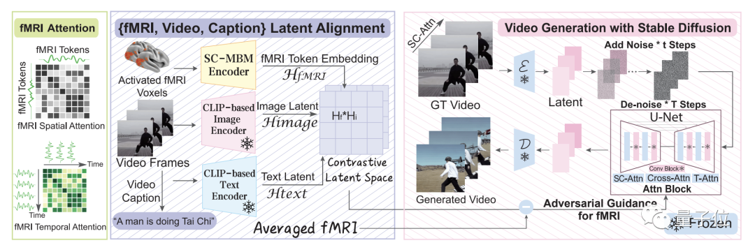 Cutting-Edge | Reconstructing High-Definition Video from Brain Activity Using Stable Diffusion