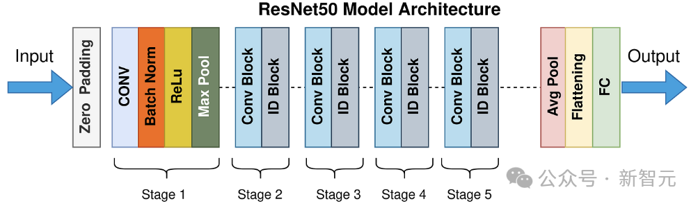 How Flexible Are Neural Networks in Practice?