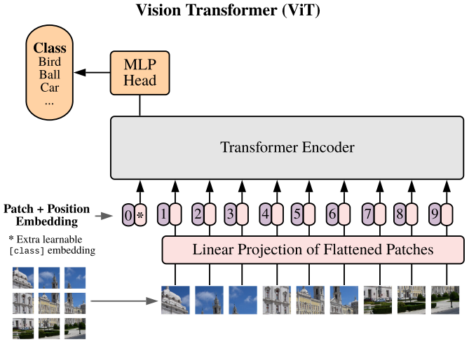 Network Architecture Design: CNN Based and Transformer Based