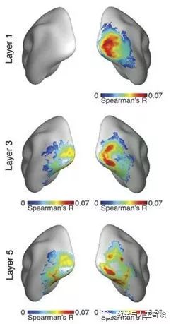 15 Questions About Convolutional Neural Networks and Biological Visual Systems