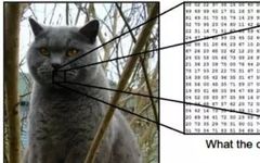 How Convolutional Neural Networks Achieve Image Recognition